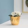 Home Centre Cairo Met Textured Planter : Amazon.in: Garden & Outdoors