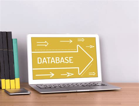 Database 的图像结果