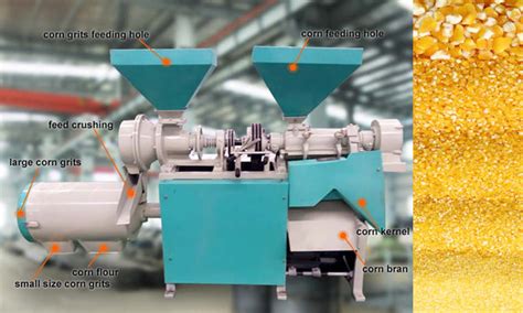 Image result for Maize Processing