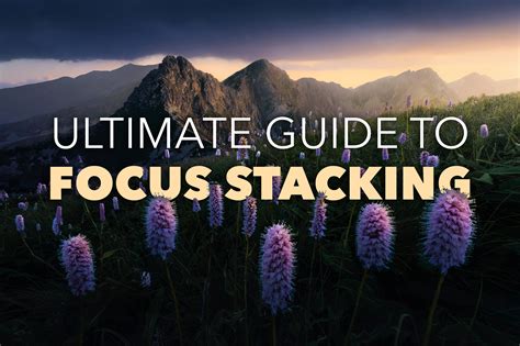 Image result for Focus Stacking Guide
