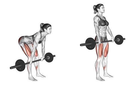 Romanian Deadlift: Benefits, Muscles Used, and More - Inspire US