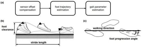 Estimation of Stride Length, Foot Clearance, and Foot Progression Angle ...
