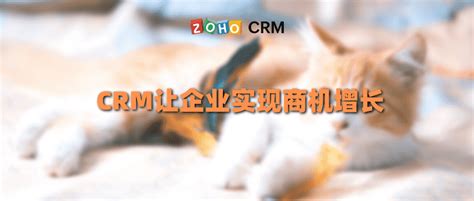 CRM让企业实现商机增长 - Zoho CRM