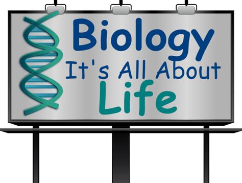 Biology Clip Art PNG 的图像结果