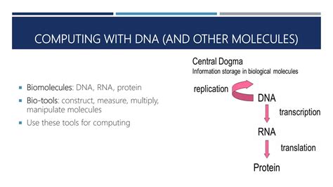 Bio Computer Science 的图像结果