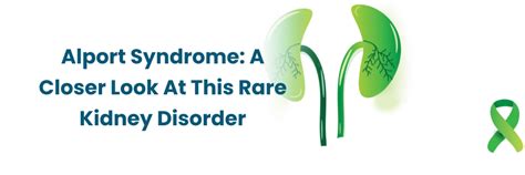 Comprendre le syndrome d’Alport : une maladie rénale rare