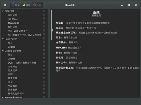 Install BleachBit 的图像结果