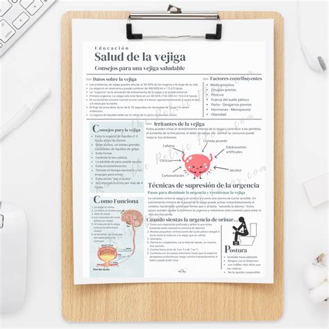 Spanish Bladder Health Patient Education Handout | Bladder Irritants ...