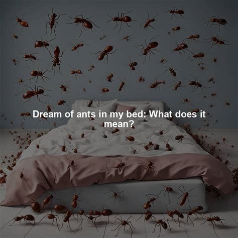 Dream of ants in my bed: What does it mean?
