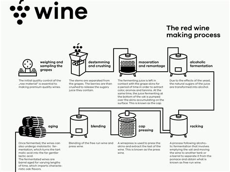 Wine Making Process Diagram at Ronda Guzman blog