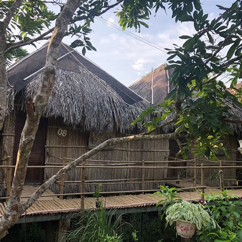 DAN SINH HOMESTAY - Reviews, Photos, Rate Comparison