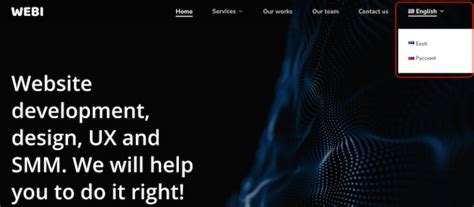 Image result for Website Language Switcher Designs