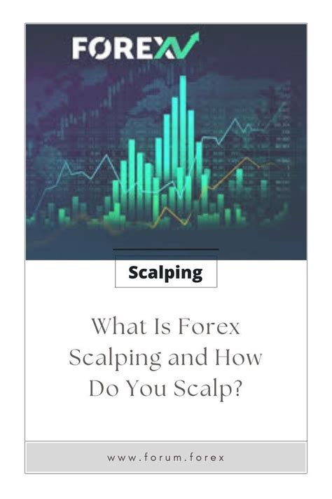 Image result for Scalping Explained