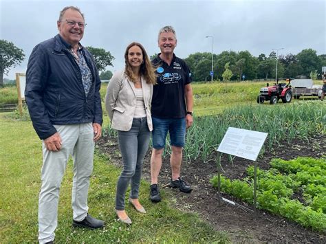 Image result for Seed Processing