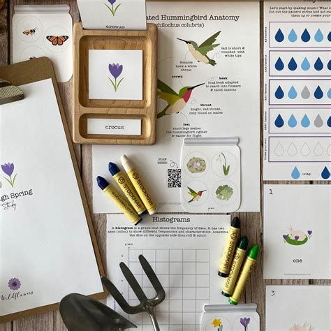 Image result for Sorting through Spring