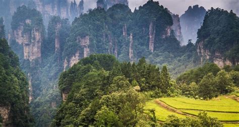 Best Times to Visit Zhangjiajie, Dates to Avoid in 2026