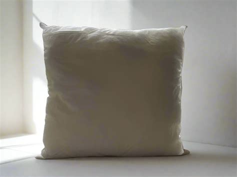 Cushion Insert – Cleeo Home