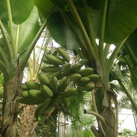 XUEYE AGRI-EXPO GARDEN - All You Need to Know BEFORE You Go (with ...