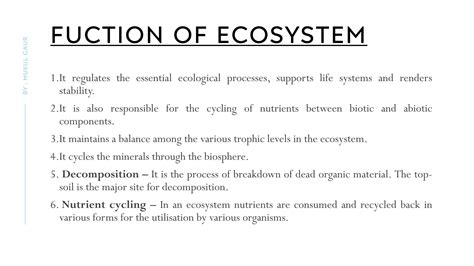 Different Types of Environmental Science 的图像结果