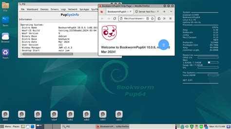 Image result for Embracing Linux Bionic Puppy 64 Bootable USB