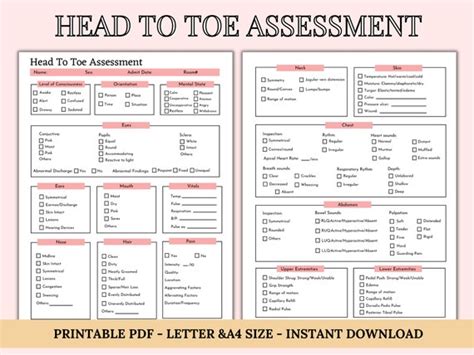 Head to Toe Assessment Template Nursing Checklist Nursing - Etsy India