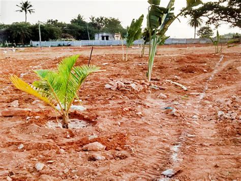 Residential Community Plots | Yelahanka - Doddabalapur Road Bangalore ...