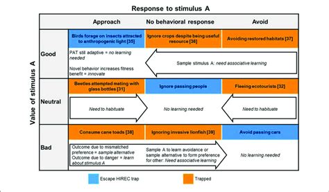 Response to Stimuli Example 的图像结果