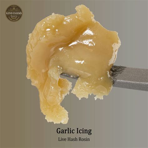 Garlic Icing Live Hash Rosin - Kind Farms Reserve - Kind Farms Reserve