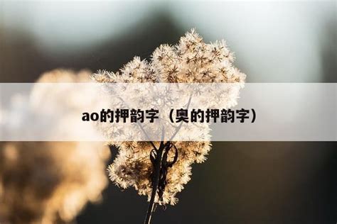 Learn Chinese The shortest way to introduce yourself: Wo shi… 我是... HSK level 1#hsk1 #learnchinese