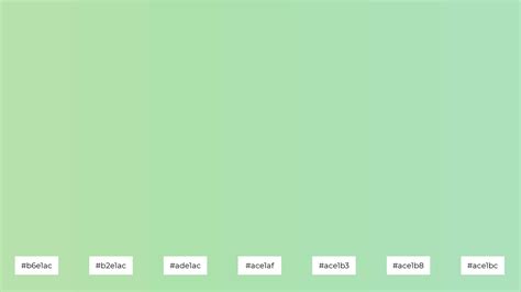 What Color is Celadon? Meaning, Code & Combinations