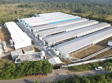 OVO Farm is revolutionising the egg industry by using blockchain technology