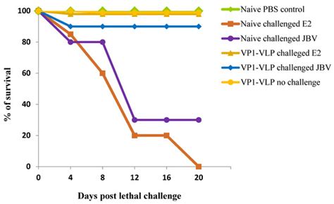 Viral Protein VP1 Virus-like Particles (VLP) of CVB4 Induces Protective ...