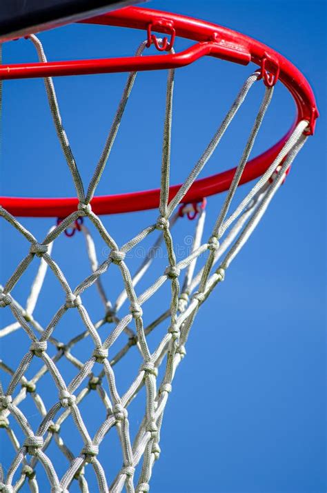 Basketball Basket 的图像结果