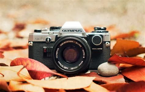 Wallpaper macro, the camera, Olympus for mobile and desktop, section ...
