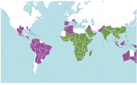 A Review of the Popular Uses, Anatomical, Chemical, and Biological ...