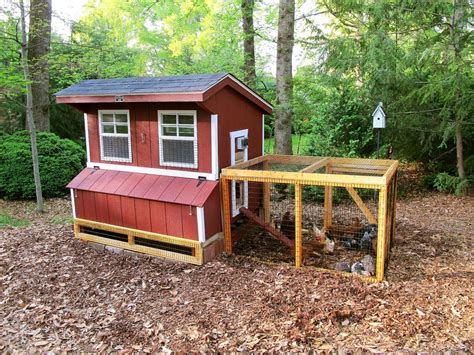 Chicken Co Op Run Ideas
