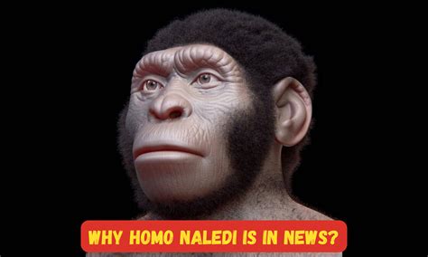 Why Homo Naledi is in News? Know about Homo Naledi