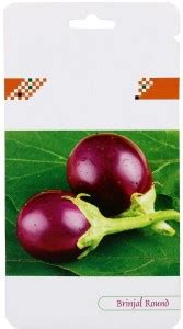 TRADITIONAL TRENDZZ BRINJAL Seed Price in India - Buy TRADITIONAL ...