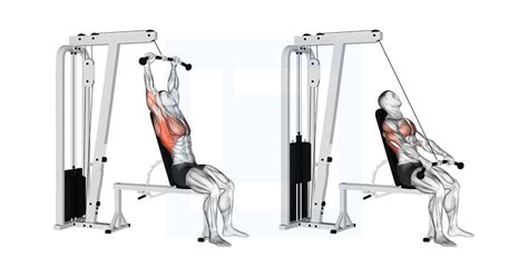 Image result for Cable Row Variations