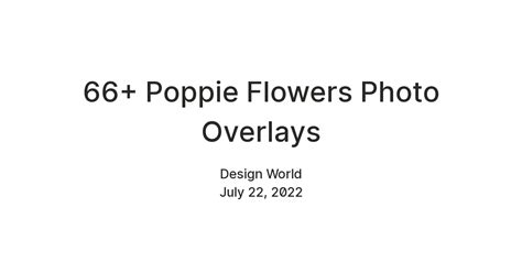 66+ Poppie Flowers Photo Overlays — Teletype