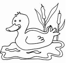 lustige enten ausmalbilder n de 20 ausmalbilder enten lustige enten ausmalbilder n de 20 ausmalbilder enten
