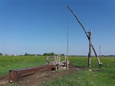 15 Papa Murphy Pizza Nutrition Facts - Facts.net