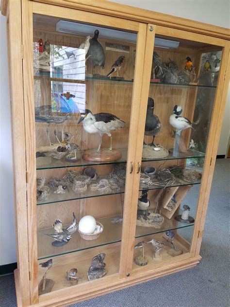 Bear Branch Nature Center - 300 John Owings Rd, Westminster, MD 21158 ...