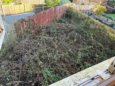 Boarded-up house with holes in the floorboard could be yours for £ ...
