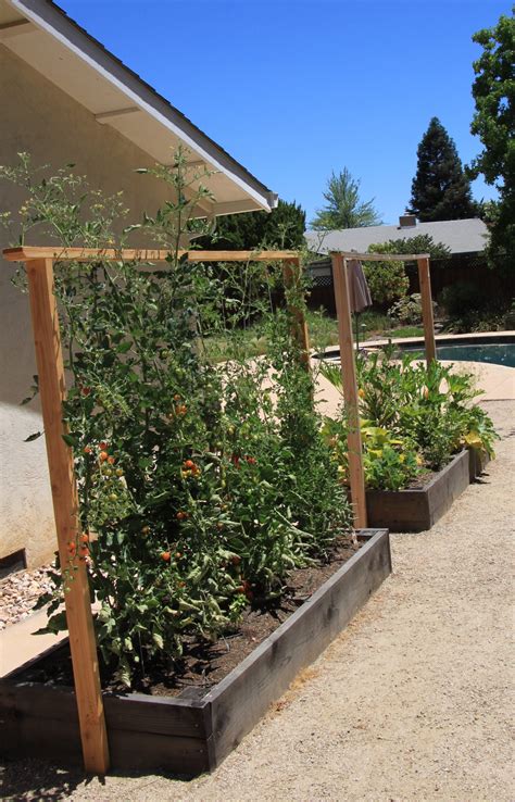 Maria and David Dawson’s garden—#51 ♿️ 🐦 - Bringing Back the Natives Garden Tour