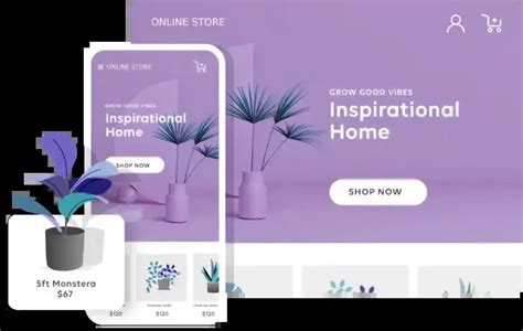 Online Store Host 的图像结果