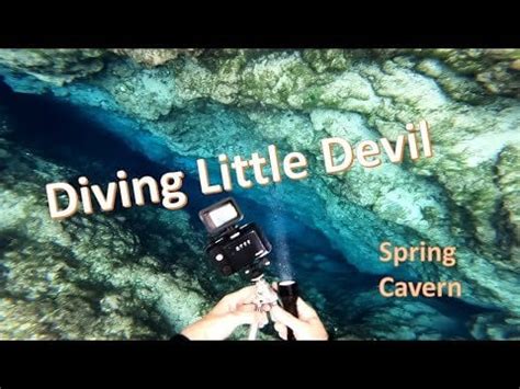 Image result for Little Devil Spring
