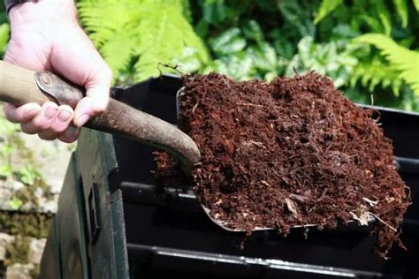 Image result for Kitchen Waste Composting