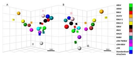 Viruses | Special Issue : Bat-Borne Viruses Research