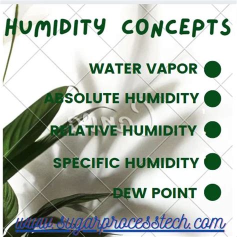 Image result for Specific Humidity
